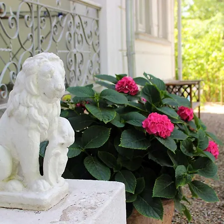 Sanssouci Stylekueste * Binz